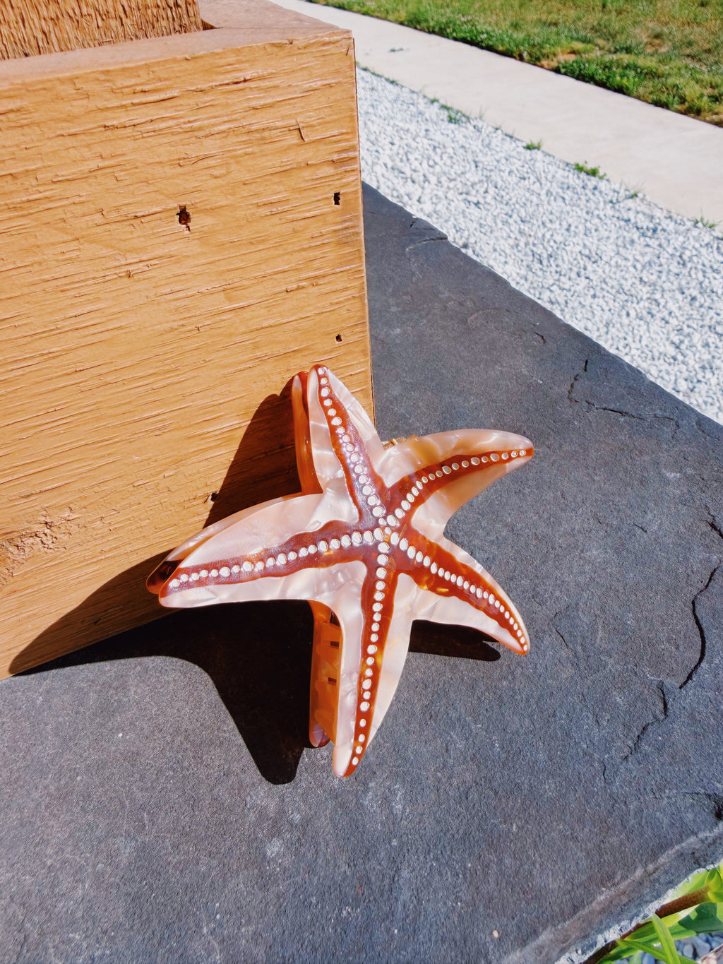 Big Starfish Hair Clip